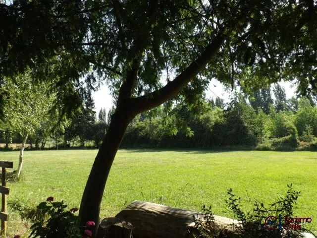Vista del sector de caminos y jardines del camping