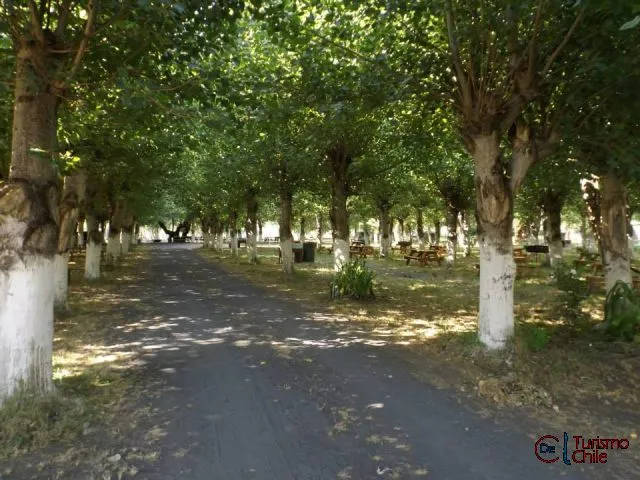 Orillas del río Laja con vegetación nativa en el camping