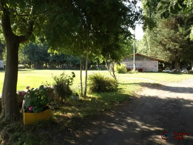 Amplia área verde del camping rodeada de árboles nativos