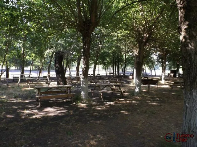 Zona de fogón con mesas y quincho bajo los árboles del camping