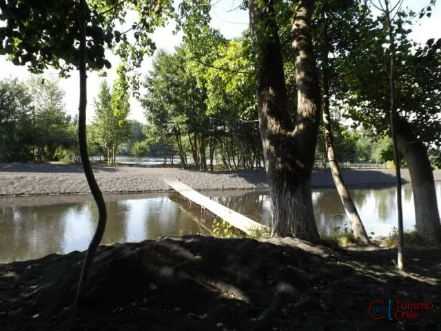 Avenida de árboles con mesas de picnic en el interior del camping